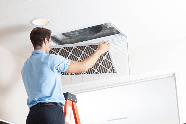Best Furnace Cleaning in Stony Point, MI